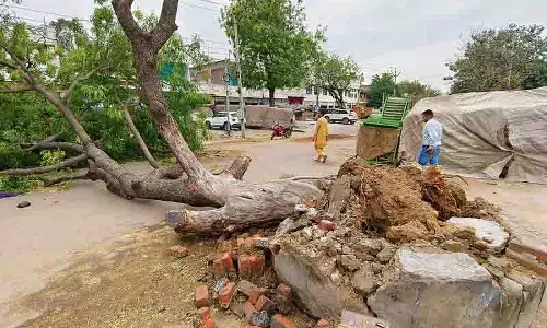 Punjab: मौसम प्रणालियों के परस्पर प्रभाव से बारिश और तूफान आए