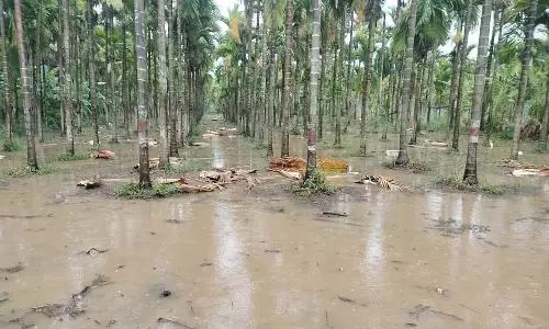 दावणगेरे जिले में विभिन्न स्थानों पर तूफान