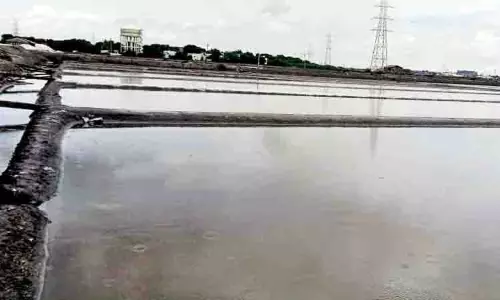 नमक का नया मोती थूथुकुडी छोड़ेगा, Gujarat में दूसरी बड़ी खेप जल्द ही पहुंचेगी नमक का नया मोती थूथुकुडी छोड़ेगा, Gujarat में दूसरी बड़ी खेप जल्द ही पहुंचेगी