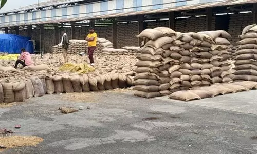 Haryana : सिरसा में तूफान, बिजली गुल, फसलें बर्बाद Haryana : सिरसा में तूफान, बिजली गुल, फसलें बर्बाद