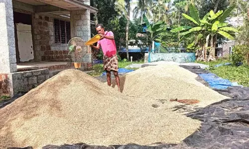 धान खरीद में देरी हो रही है; किसान संकट में