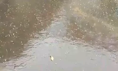 छत्तीसगढ़ में कहीं गिरे ओले, कहीं हुई बारिश और कहीं चल रही तेज आंधी छत्तीसगढ़ में कहीं गिरे ओले, कहीं हुई बारिश और कहीं चल रही तेज आंधी