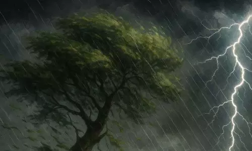 IMD ने 6 मई तक पूरे बंगाल में तेज हवाएं, बिजली गिरने और बारिश की चेतावनी दी