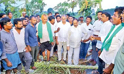 हम सरकार की ओर से अस्थायी सहायता प्रदान करेंगे: Tummala हम सरकार की ओर से अस्थायी सहायता प्रदान करेंगे: Tummala