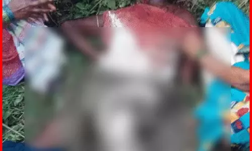 खेत में काम कर रहे किसान पर बाघ ने किया हमला, मौत, शरीर का कुछ हिस्सा भी खा गया