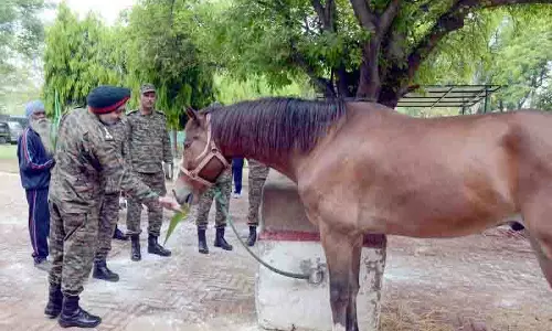 ब्रिगेडियर चीमा ने पशु चिकित्सा विश्वविद्यालय NCC इकाई का दौरा किया