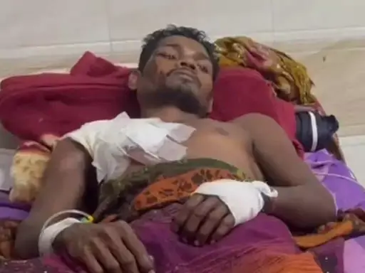 शिकारियों से घायल सुअर ने किया हमला, युवक गंभीर शिकारियों से घायल सुअर ने किया हमला, युवक गंभीर