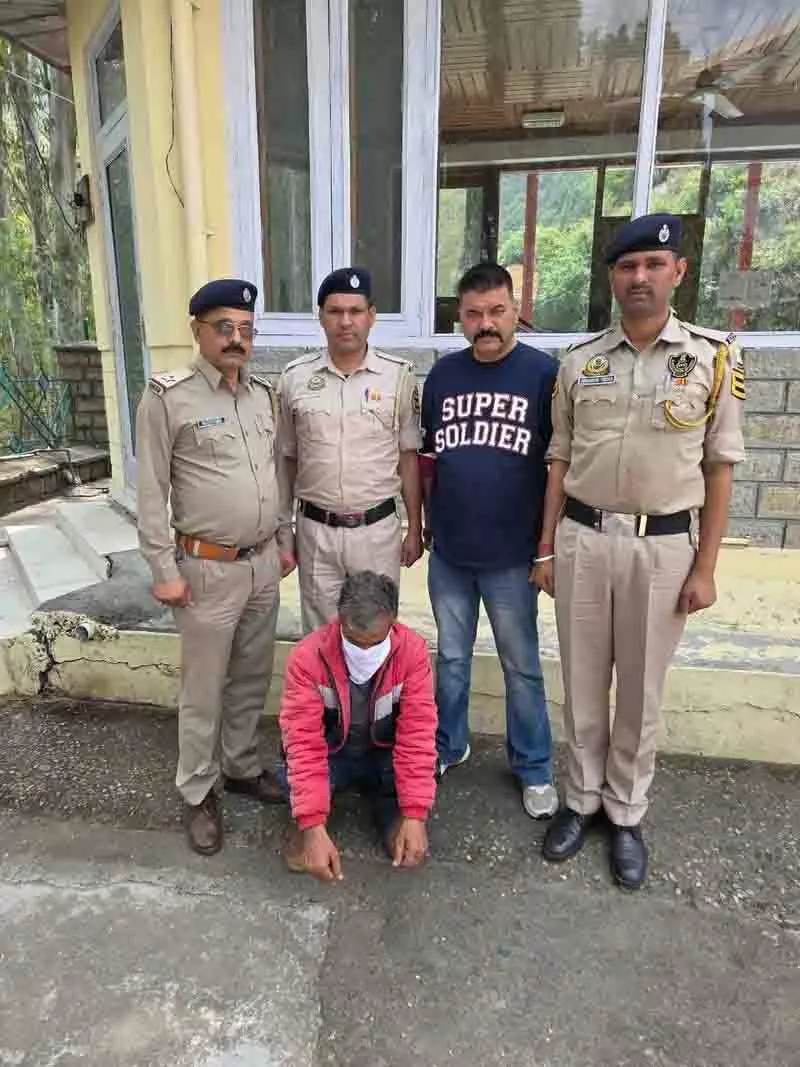 Himachal: पुलिस ने अवैध रूप से उगाए गए 381 अफीम के पौधे जब्त किए, मालिक गिरफ्तार Himachal: पुलिस ने अवैध रूप से उगाए गए 381 अफीम के पौधे जब्त किए, मालिक गिरफ्तार