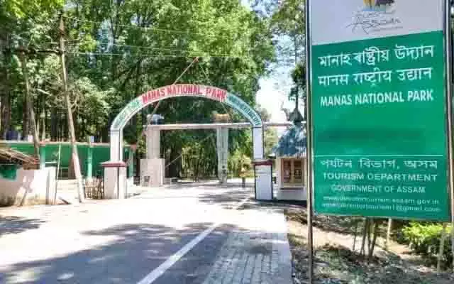 Assam के मानस राष्ट्रीय उद्यान में 3 हाथी मृत पाए गए Assam के मानस राष्ट्रीय उद्यान में 3 हाथी मृत पाए गए
