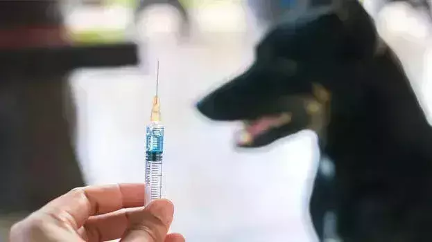 Kerala: एंटी-रेबीज वैक्सीन लगने के बावजूद सात साल की बच्ची वेंटिलेटर पर Kerala: एंटी-रेबीज वैक्सीन लगने के बावजूद सात साल की बच्ची वेंटिलेटर पर