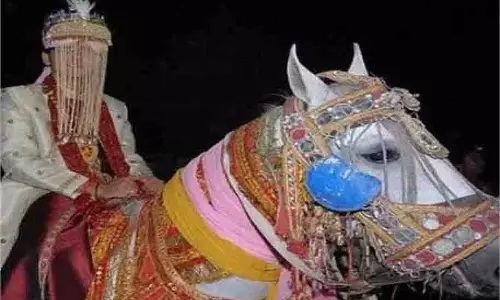 Rajasthan : घोड़ी पर बैठे दूल्हे पर चाकू से हमला,बारात में भगदड़