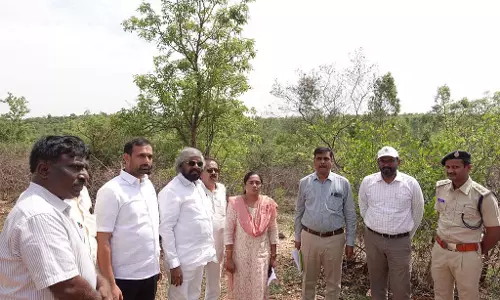 Karnataka : शीबी वन भूमि की सुरक्षा के निर्देश