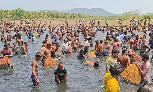नाथम के पास आयोजित मछली पकड़ने के उत्सव में 1000 से अधिक लोगों ने भाग लिया नाथम के पास आयोजित मछली पकड़ने के उत्सव में 1000 से अधिक लोगों ने भाग लिया