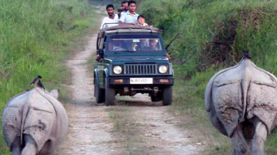 Assam में मानसून की चिंताओं के बीच काजीरंगा जीप सफारी 19 मई से बंद हो जाएगी