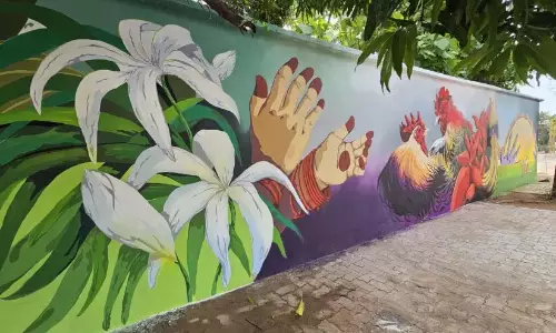 दम्पति ने अपने बेटे की यादों को भित्तिचित्रों में रंग दिया दम्पति ने अपने बेटे की यादों को भित्तिचित्रों में रंग दिया