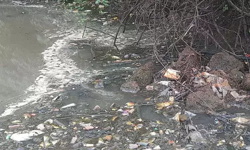 अधिकारियों ने प्रदूषण की जांच के लिए Canacona में जल निकाय का निरीक्षण किया