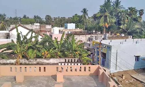 Andhra : हरे-भरे खेतों के बीच बसा एक छोटा सा गांव