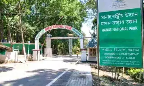 Assam के मानस राष्ट्रीय उद्यान में 3 हाथी मृत पाए गए