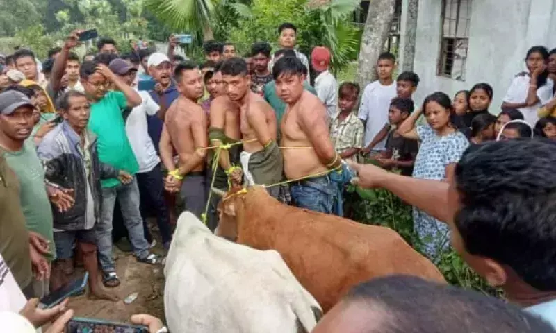 Assam: मसेगांव में कथित मवेशी चोरी के आरोप में चार लोग गिरफ्तार