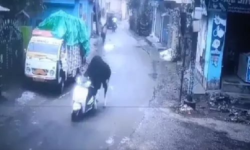Rishikesh में साहसी बैल ने स्कूटर पर की मजेदार सवारी, मीम फेस्ट अलर्ट