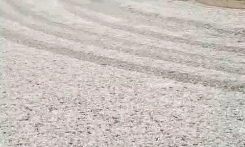 ऊपरी Shimla क्षेत्र में ओलावृष्टि से फसलें बर्बाद, किसान चिंतित ऊपरी Shimla क्षेत्र में ओलावृष्टि से फसलें बर्बाद, किसान चिंतित