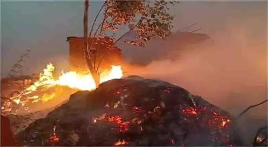 MP News: अज्ञात कारणों से लगी भीषण आग, कच्चे मकान जलकर राख MP News: अज्ञात कारणों से लगी भीषण आग, कच्चे मकान जलकर राख