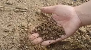 Nalanda: स्थानीय संसाधनों से नालंदा में तैयार हुआ पोषक खाद Nalanda: स्थानीय संसाधनों से नालंदा में तैयार हुआ पोषक खाद