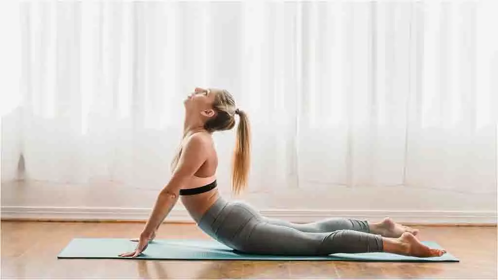 Yoga Poses To Reduce Back Fat: पीठ की चर्बी कम करने के लिए रोजाना करें ये योगासन Yoga Poses To Reduce Back Fat: पीठ की चर्बी कम करने के लिए रोजाना करें ये योगासन