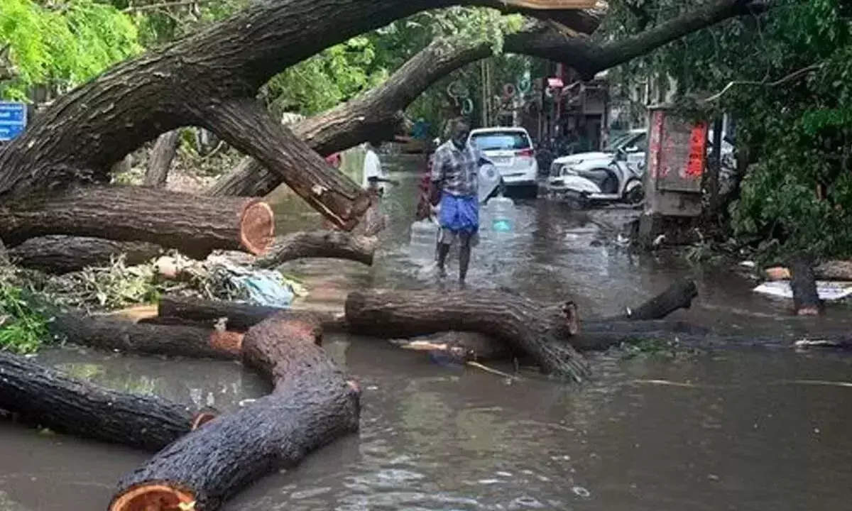 Karnataka: बारिश के बीच बीबीएमपी की उदासीनता चिंताजनक Karnataka: बारिश के बीच बीबीएमपी की उदासीनता चिंताजनक