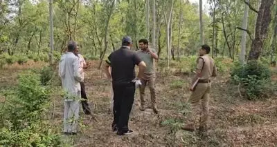 NGT ने पानीपत गांव में अवैध रूप से पेड़ों की कटाई की जांच के आदेश NGT ने पानीपत गांव में अवैध रूप से पेड़ों की कटाई की जांच के आदेश