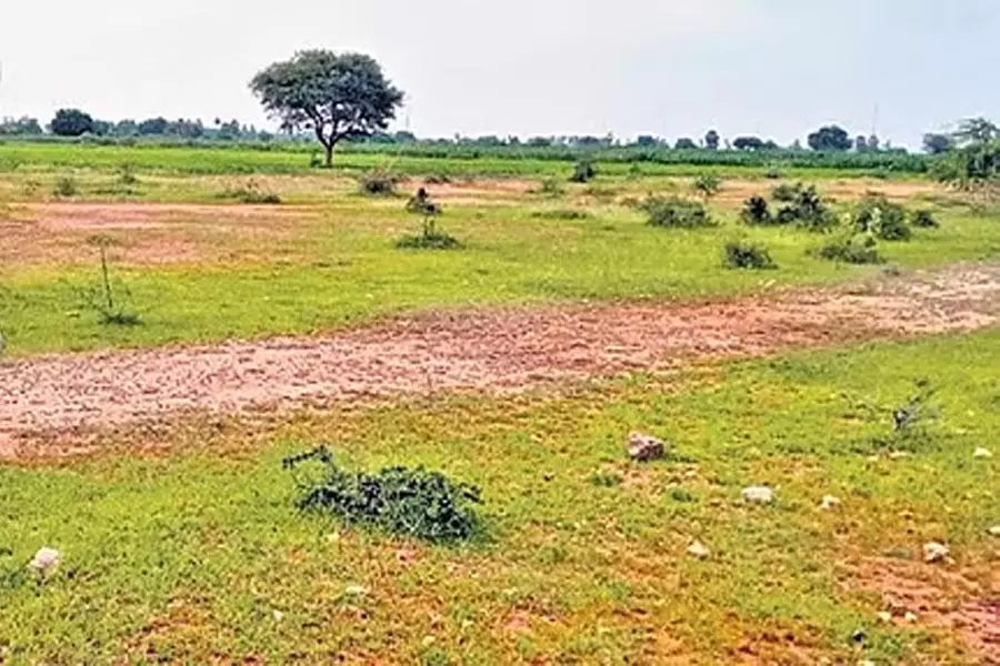 अवैध भूखंड पंजीकरण के लिए दो तहसीलदारों को किया निलंबित अवैध भूखंड पंजीकरण के लिए दो तहसीलदारों को किया निलंबित
