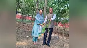 M P: शादी की सालगिरह पर शिवराज चौहान का विशेष अंदाज, पत्नी संग लगाए पौधे M P: शादी की सालगिरह पर शिवराज चौहान का विशेष अंदाज, पत्नी संग लगाए पौधे