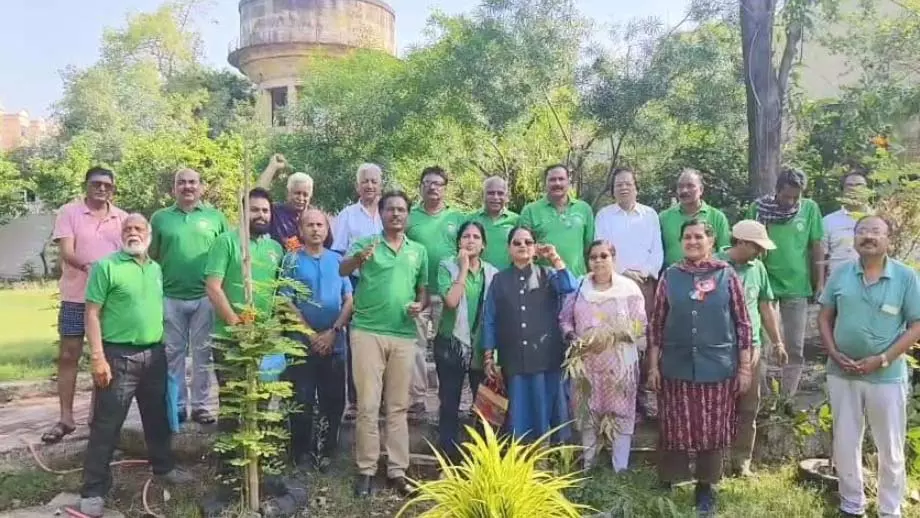 बदहाली से बहार तक : ग्रीन आर्मी ने कबाड़ की जुगाड से रोशन किया सखी सहेली गार्डन बदहाली से बहार तक : ग्रीन आर्मी ने कबाड़ की जुगाड से रोशन किया सखी सहेली गार्डन