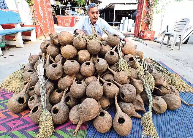 गौरैया से रिश्ता मजबूत करने के लिए त्रि नगर में कृत्रिम घोंसलों का निःशुल्क वितरण गौरैया से रिश्ता मजबूत करने के लिए त्रि नगर में कृत्रिम घोंसलों का निःशुल्क वितरण