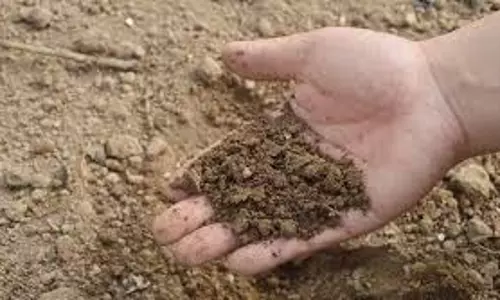 Nalanda: स्थानीय संसाधनों से नालंदा में तैयार हुआ पोषक खाद Nalanda: स्थानीय संसाधनों से नालंदा में तैयार हुआ पोषक खाद
