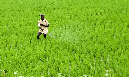 Telangana: वैज्ञानिक किसानों को सर्वोत्तम कृषि पद्धतियों के बारे में शिक्षित करेंगे