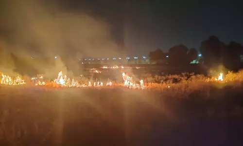 Indore : कृषि महाविद्यालय में पराली जलाने से चिंता बढ़ी