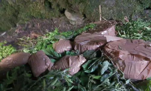 सेना को मिली बड़ी सफलता, तलाशी अभियान के दौरान आतंकी ठिकानों से 5 आईईडी बरामद सेना को मिली बड़ी सफलता, तलाशी अभियान के दौरान आतंकी ठिकानों से 5 आईईडी बरामद