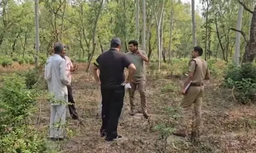 Yamunanagar में खैर की लकड़ी माफिया की गोलीबारी से वन अधिकारी बाल-बाल बचे