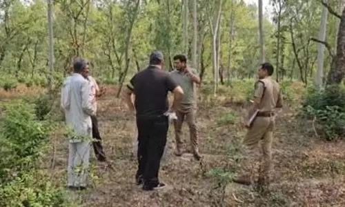 NGT ने पानीपत गांव में अवैध रूप से पेड़ों की कटाई की जांच के आदेश