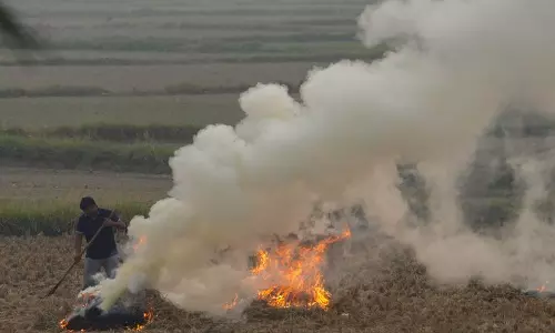 पोर्टल पर लाल प्रविष्टियों के कारण किसानों को दो सीजन तक अपनी उपज बेचने से रोका गया पोर्टल पर लाल प्रविष्टियों के कारण किसानों को दो सीजन तक अपनी उपज बेचने से रोका गया