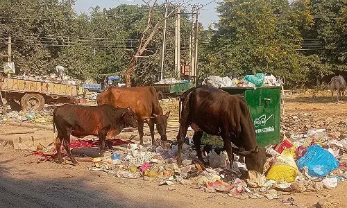 Haryana :  शिकायत पोर्टल तक पहुंच के बिना स्वच्छ शहर सर्वेक्षण में मानेसर शीर्ष पर