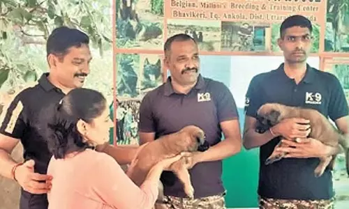 अंगोला से दो बेल्जियन मेलिनोइस कुत्ते बेंगलुरु CRPF शिविर में शामिल होंगे