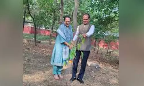 M P: शादी की सालगिरह पर शिवराज चौहान का विशेष अंदाज, पत्नी संग लगाए पौधे M P: शादी की सालगिरह पर शिवराज चौहान का विशेष अंदाज, पत्नी संग लगाए पौधे