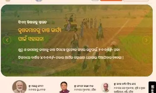 CM किसान योजना ओडिशा पोर्टल पर अपनी स्थिति कैसे जांचें CM किसान योजना ओडिशा पोर्टल पर अपनी स्थिति कैसे जांचें