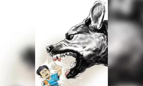 Kollam में रेबीज से सात वर्षीय बच्चे की मौत; केरल में तीसरी मौत