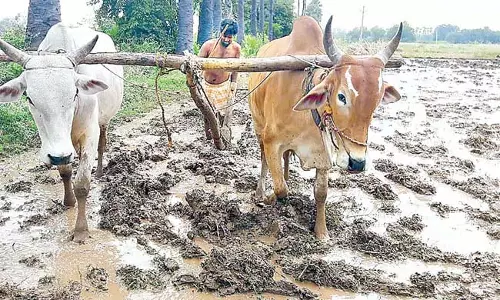 Andhra : बटाईदार किसानों के लिए ‘ख़ुशी’