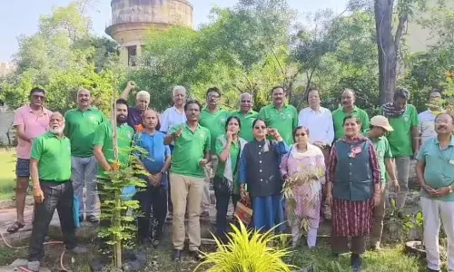 बदहाली से बहार तक : ग्रीन आर्मी ने कबाड़ की जुगाड से रोशन किया सखी सहेली गार्डन