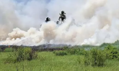 Caranzalem के खेतों में भीषण आग लगी, आग पर काबू पाने के लिए दमकलकर्मी जुटे