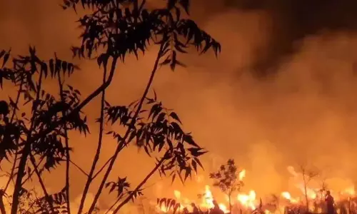 Warangal में आग लगने से 30 एकड़ मक्का जलकर खाक हो गया